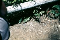 img43