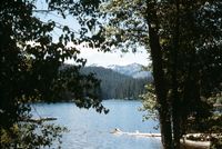 img51