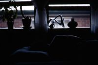 img31
