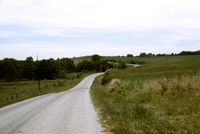 img8