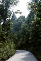 img6