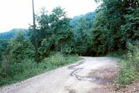 img41