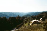 img4