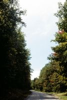 img20