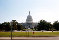 img11