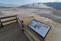 img51