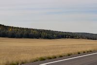 img372