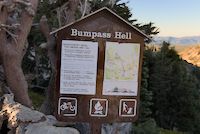 img396