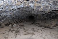 img406