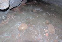 img411