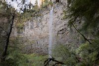 img438