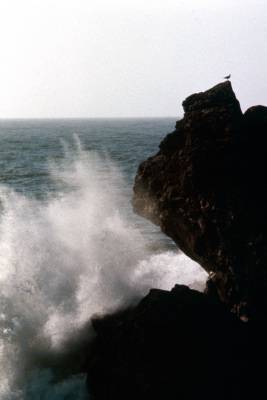 197806-S01-026